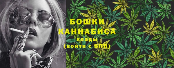 первитин Гусев