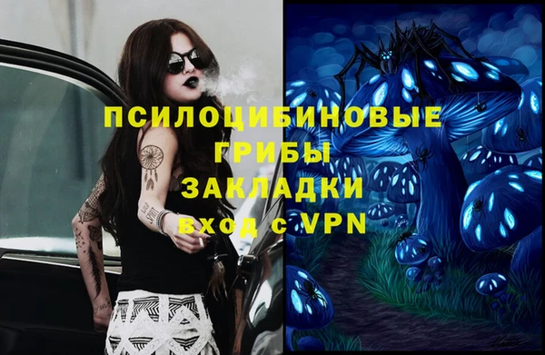 мескалин Гусиноозёрск