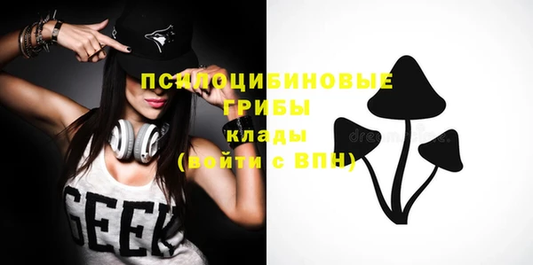 ГАЛЛЮЦИНОГЕННЫЕ ГРИБЫ Горняк