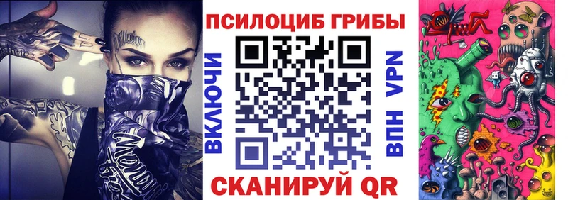 KRAKEN ССЫЛКА  где купить наркотик  Казань  Псилоцибиновые грибы GOLDEN TEACHER 